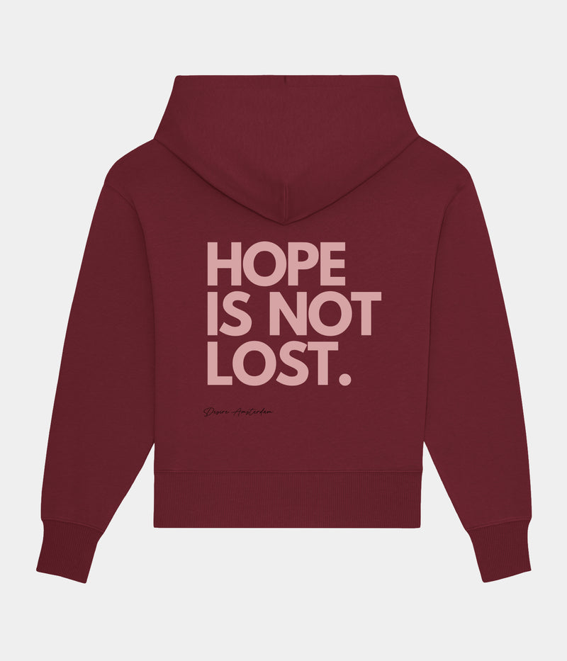HOPE IS NOT LOST HOODIE.